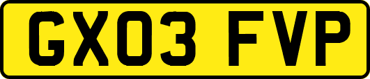 GX03FVP