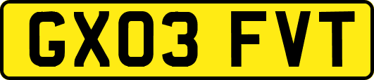 GX03FVT