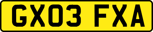 GX03FXA