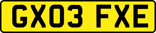 GX03FXE