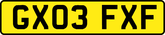 GX03FXF