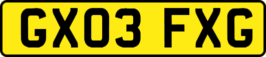 GX03FXG