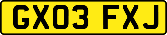 GX03FXJ