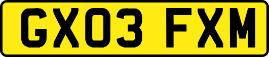 GX03FXM