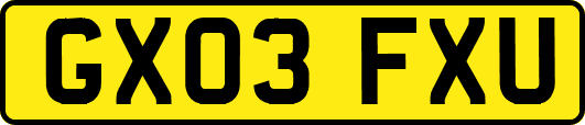 GX03FXU