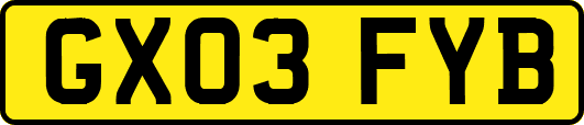 GX03FYB