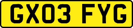 GX03FYG