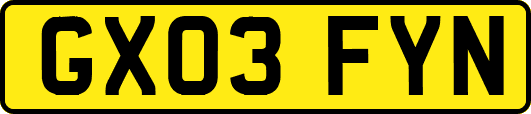 GX03FYN