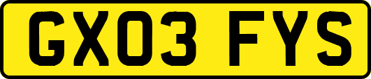 GX03FYS