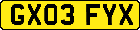 GX03FYX
