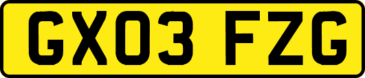 GX03FZG