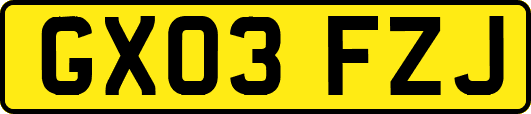 GX03FZJ