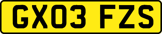 GX03FZS