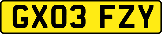GX03FZY