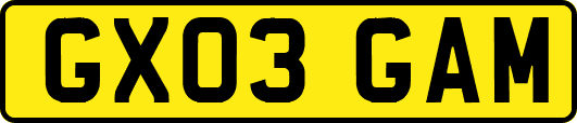 GX03GAM