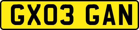 GX03GAN