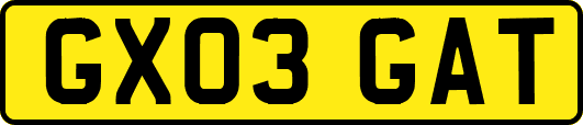 GX03GAT