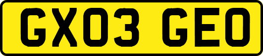 GX03GEO