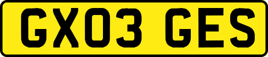 GX03GES