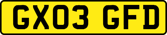 GX03GFD