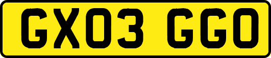 GX03GGO