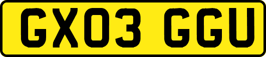 GX03GGU