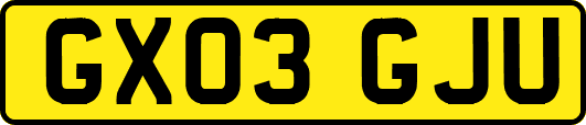 GX03GJU