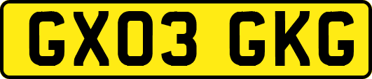 GX03GKG