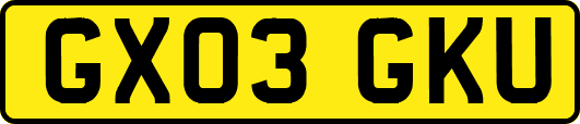 GX03GKU