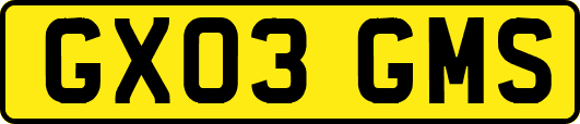 GX03GMS