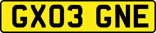 GX03GNE