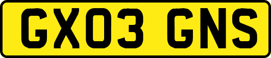 GX03GNS