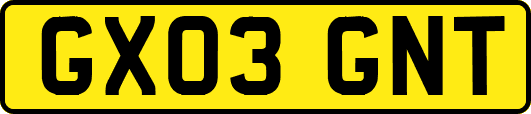 GX03GNT