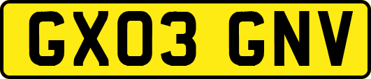 GX03GNV