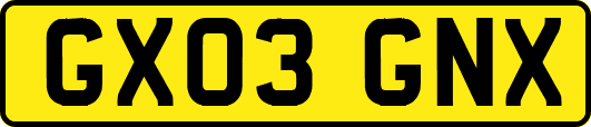GX03GNX