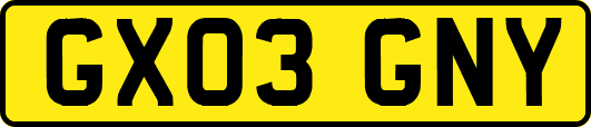 GX03GNY