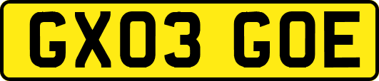 GX03GOE