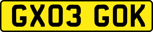 GX03GOK