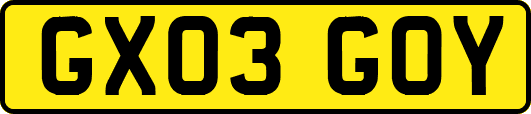 GX03GOY