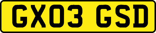 GX03GSD