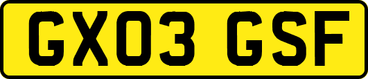 GX03GSF