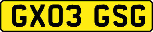 GX03GSG