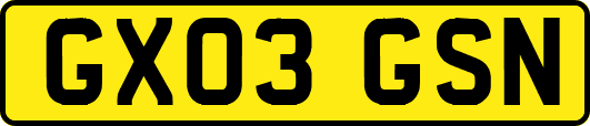 GX03GSN