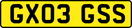 GX03GSS