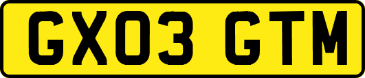 GX03GTM
