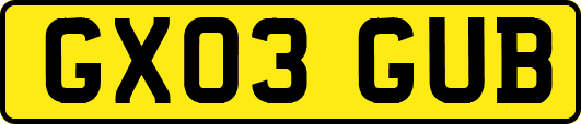GX03GUB