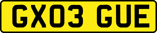 GX03GUE
