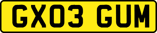 GX03GUM