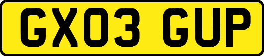 GX03GUP