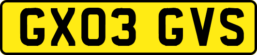 GX03GVS